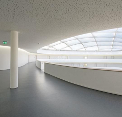 Forbo Marmoleum Decibel on Order 387235 volcanic ash фото 3 | FLOORDEALER